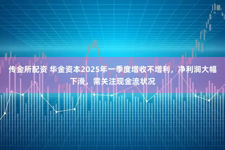 传金所配资 华金资本2025年一季度增收不增利，净利润大幅下滑，需关注现金流状况