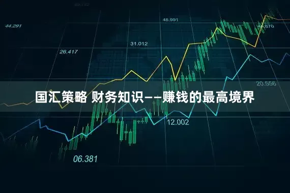 国汇策略 财务知识——赚钱的最高境界